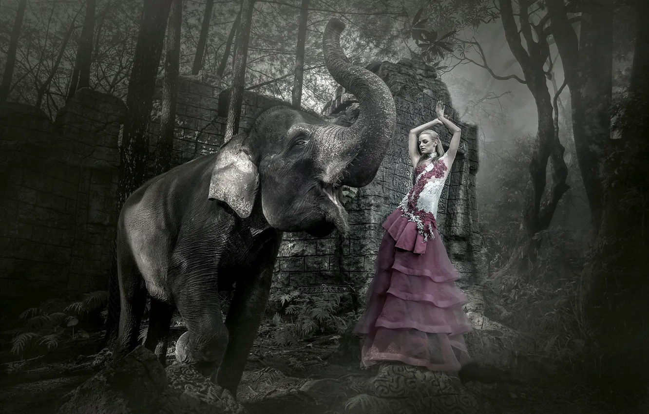 Photo wallpaper girl, background, elephant