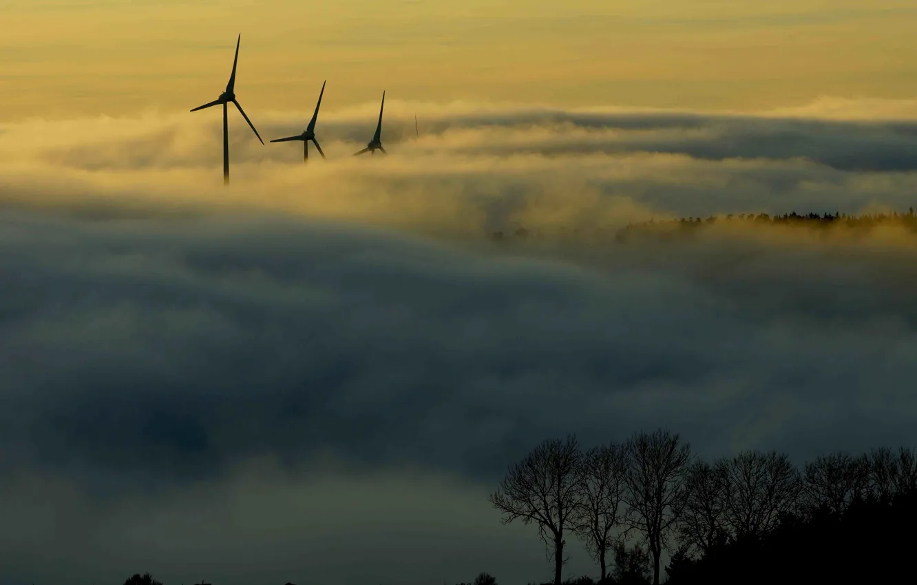 Photo wallpaper forest, mountains, fog, morning, windmills