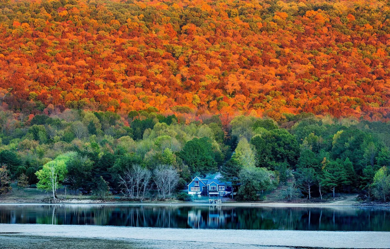 Photo wallpaper autumn, forest, house, Alabama in Autumn
