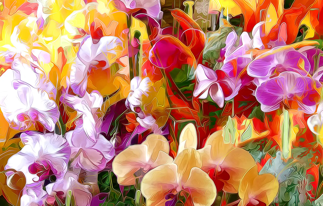 Photo wallpaper line, flowers, abstraction, paint, petals, Orchid, touch