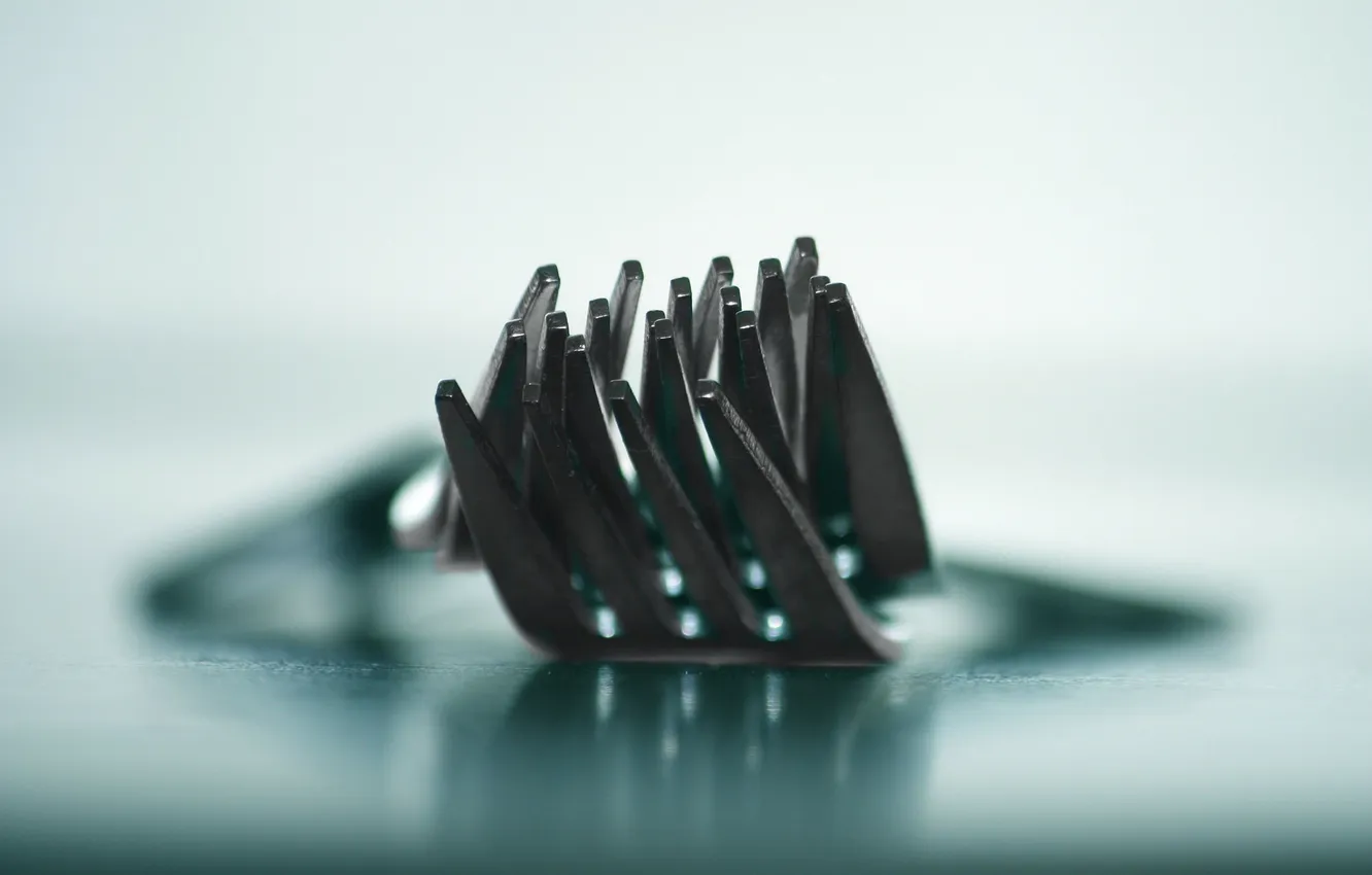 Photo wallpaper macro, background, plug