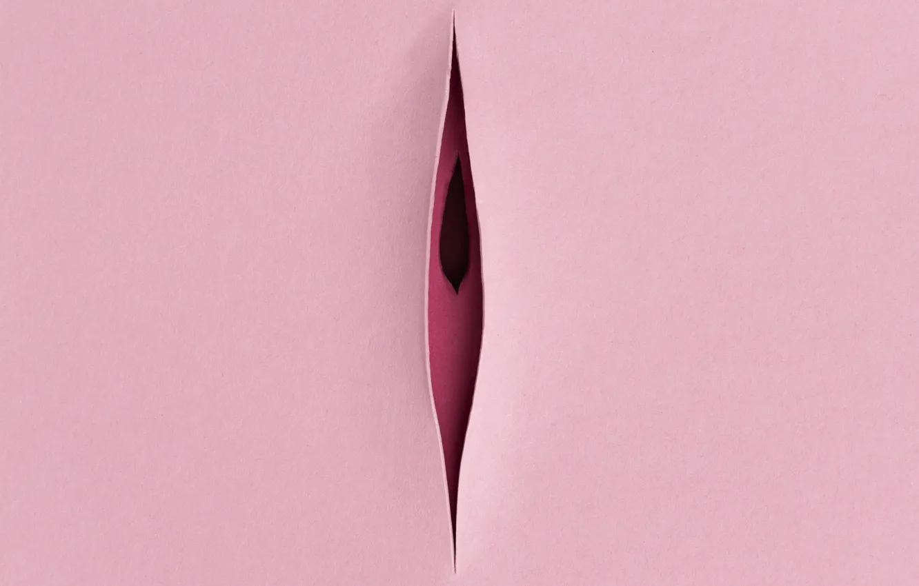 Photo wallpaper paper, texture, the cut, cardboard, pink background, holes, hole, slot