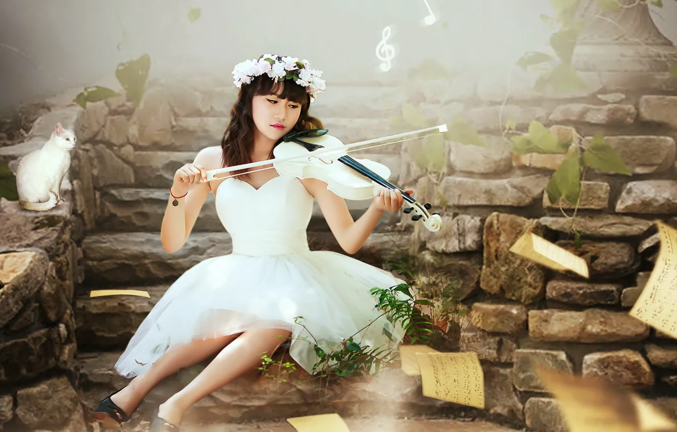 Photo wallpaper cat, girl, music, violin