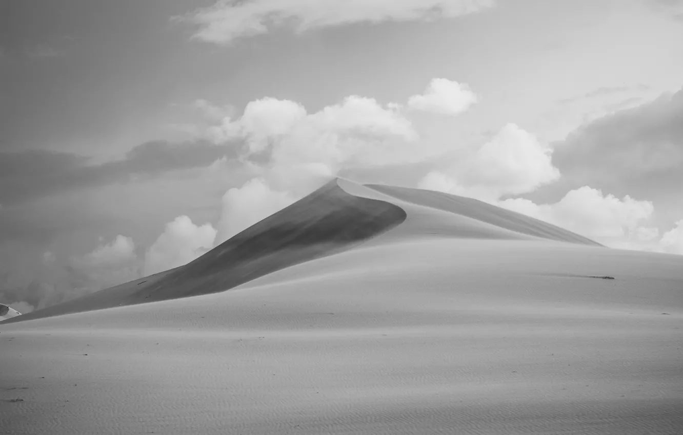 Photo wallpaper desert, sand, wind, dune, sunny, dry