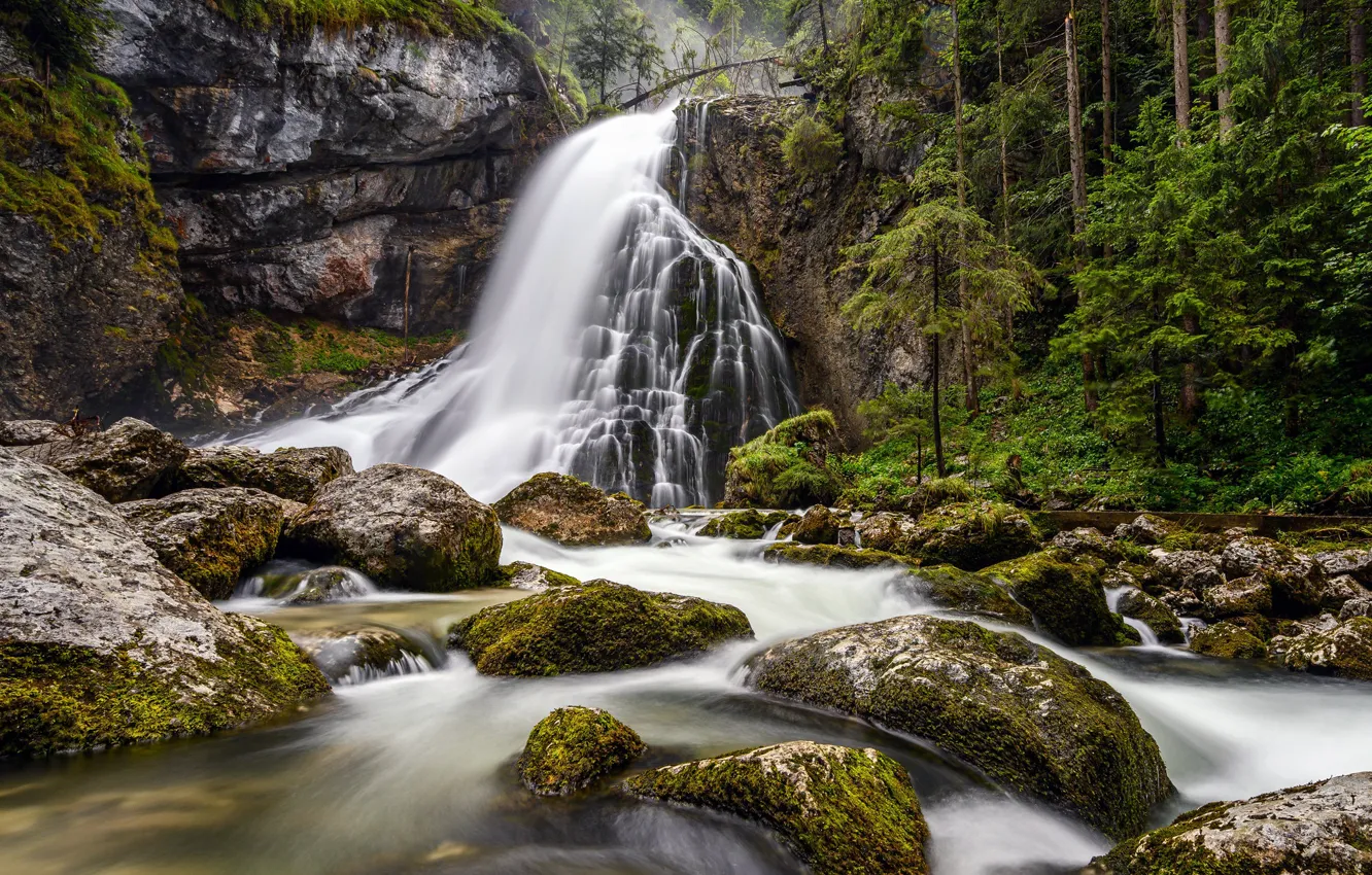 Photo wallpaper forest, rock, river, stones, waterfall, Austria, cascade, Austria