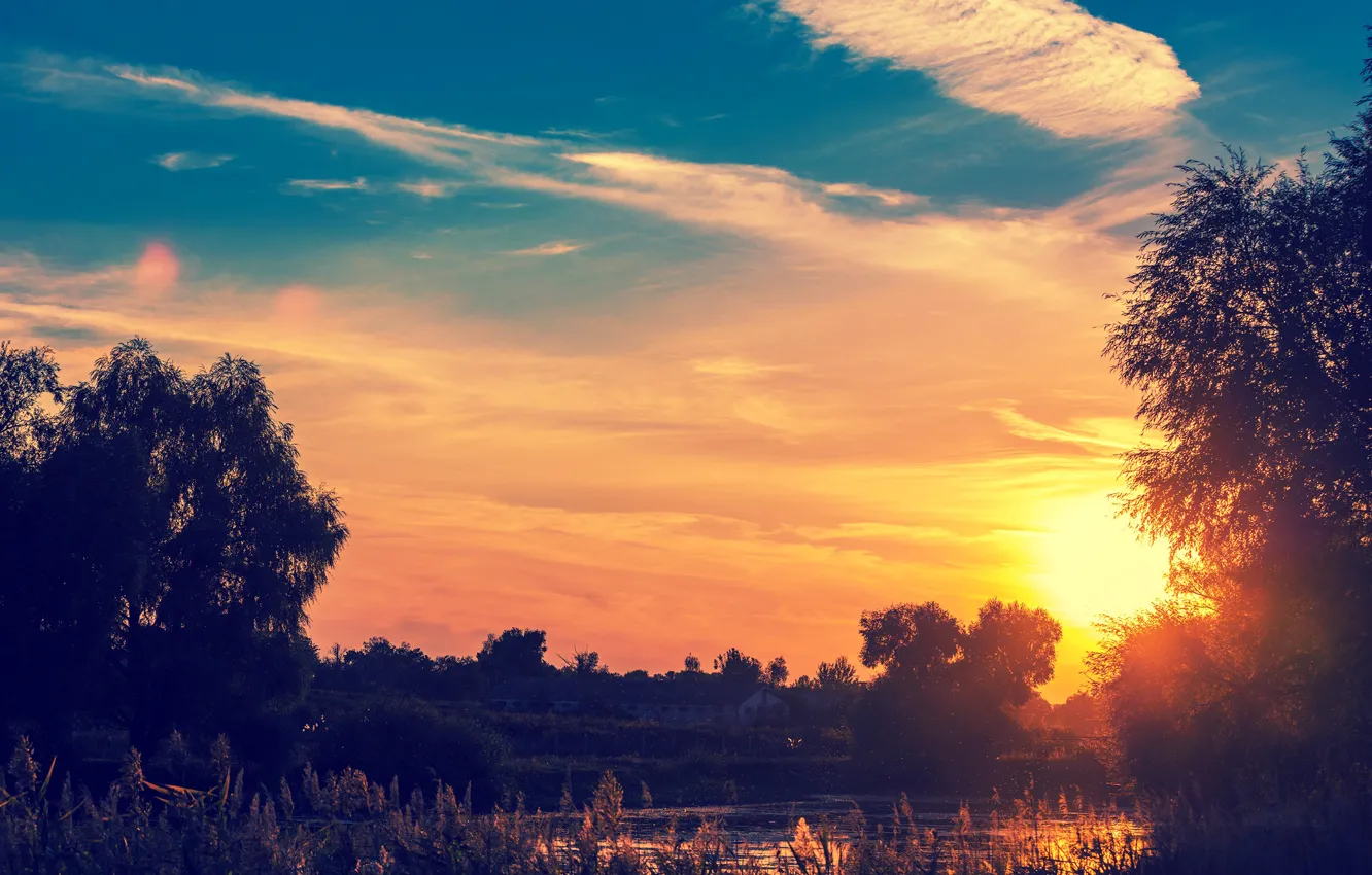 Photo wallpaper summer, the sky, grass, the sun, clouds, trees, dawn, river