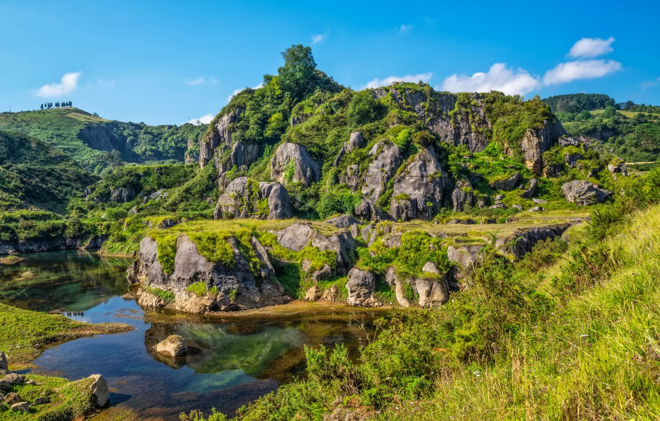 Photo wallpaper greens, nature, lake, stones, rocks