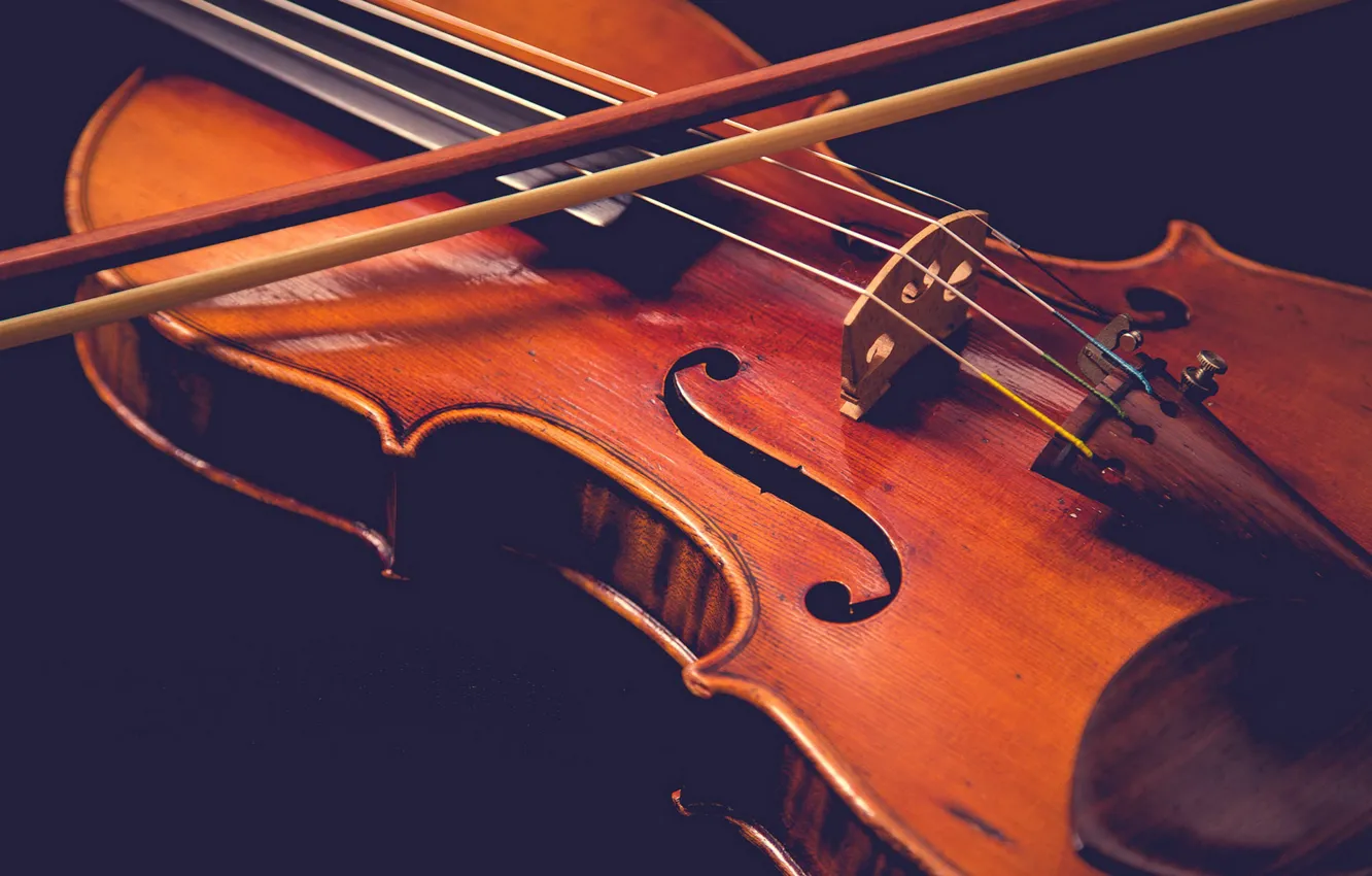 Photo wallpaper macro, music, violin