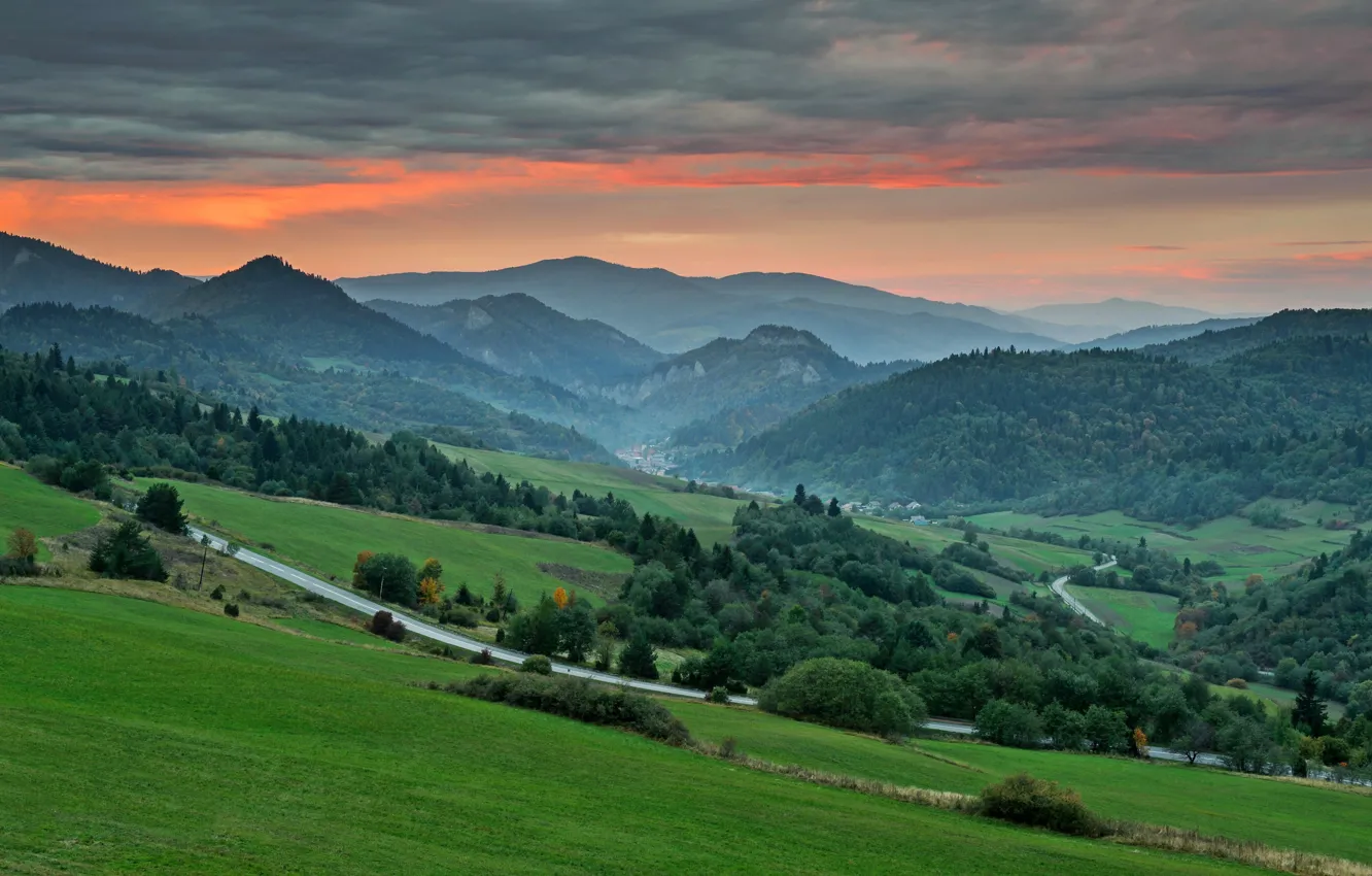 Photo wallpaper forest, mountains, dawn, Europe, Slovakia, Slovakia