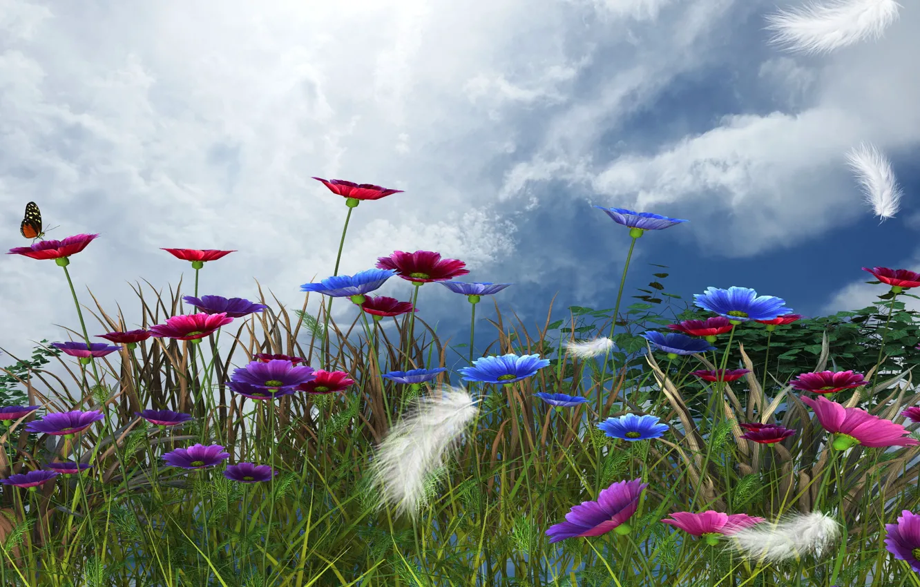 Photo wallpaper the sky, flowers, spring, a feather