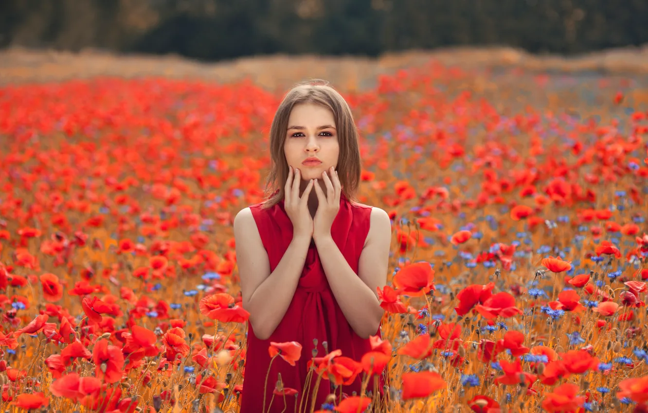 Photo wallpaper field, summer, girl, flowers, nature, Maki, dress, brown hair