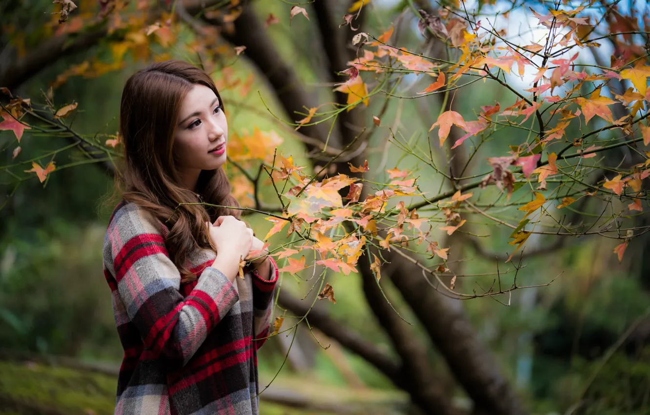 Photo wallpaper leaves, girl, branches, Asian