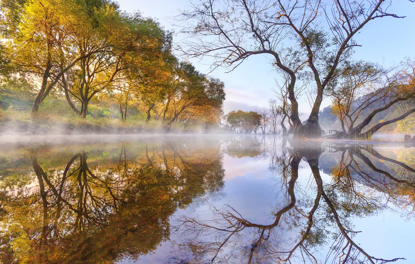 Photo wallpaper autumn, the sky, trees, nature, fog, lake, reflection, morning