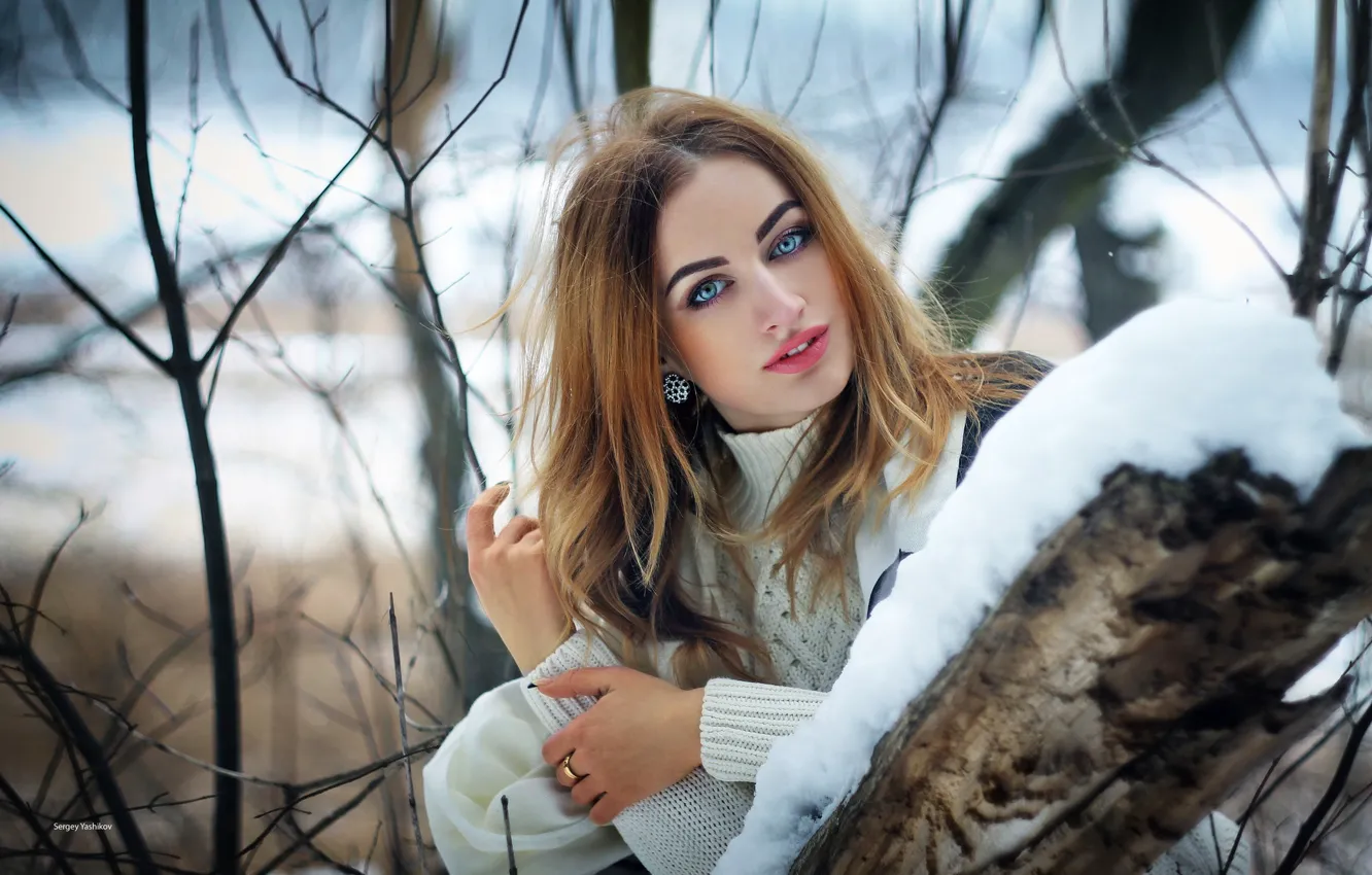 Photo wallpaper look, girl, snow, branches, face, pose, tree, hair