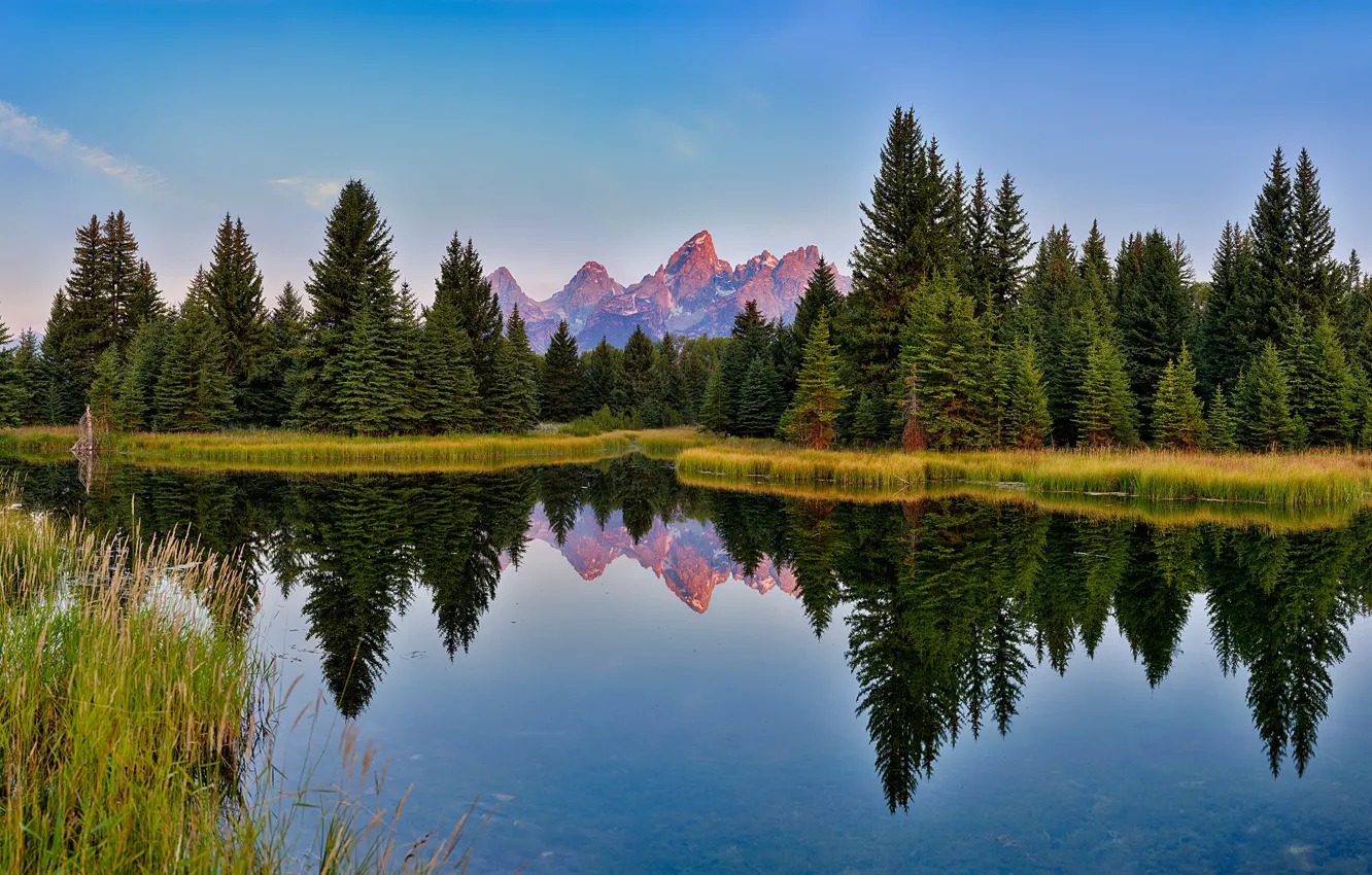 Photo wallpaper forest, mountains, reflection, tops, USA, pond, blue sky, Grand Teton