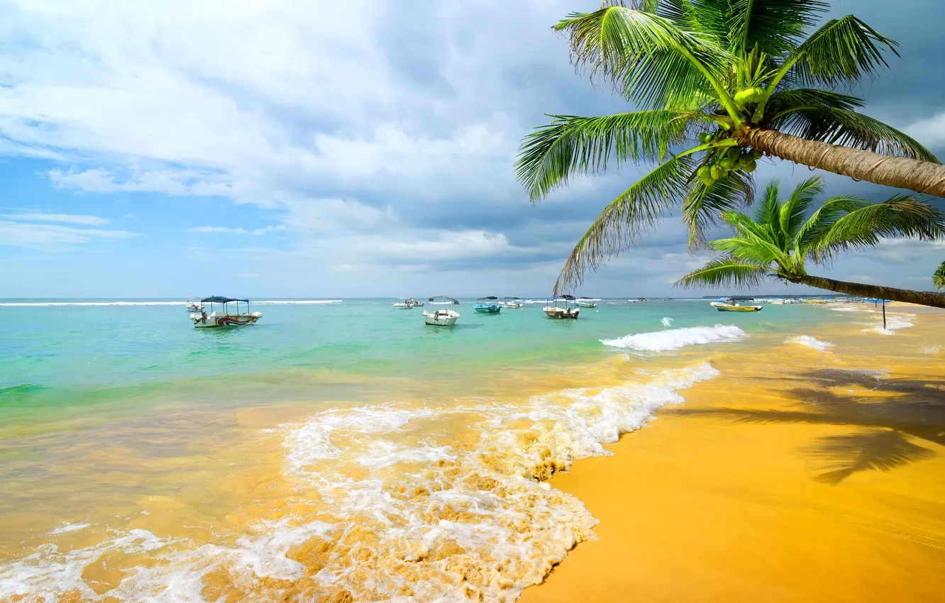 Photo wallpaper sand, sea, beach, palm trees, shore, summer, beach, sea