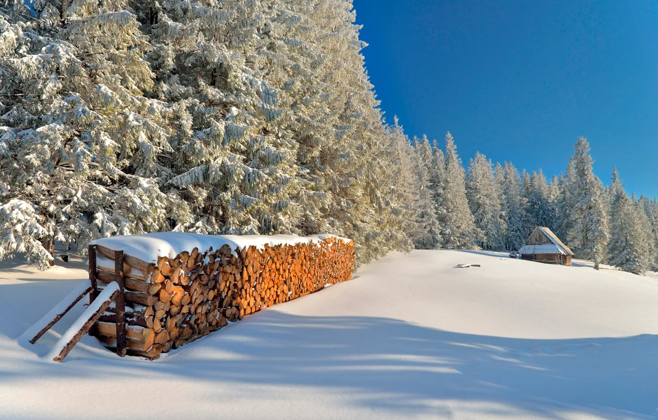 Photo wallpaper winter, the sun, snow, day, Tatras, stack
