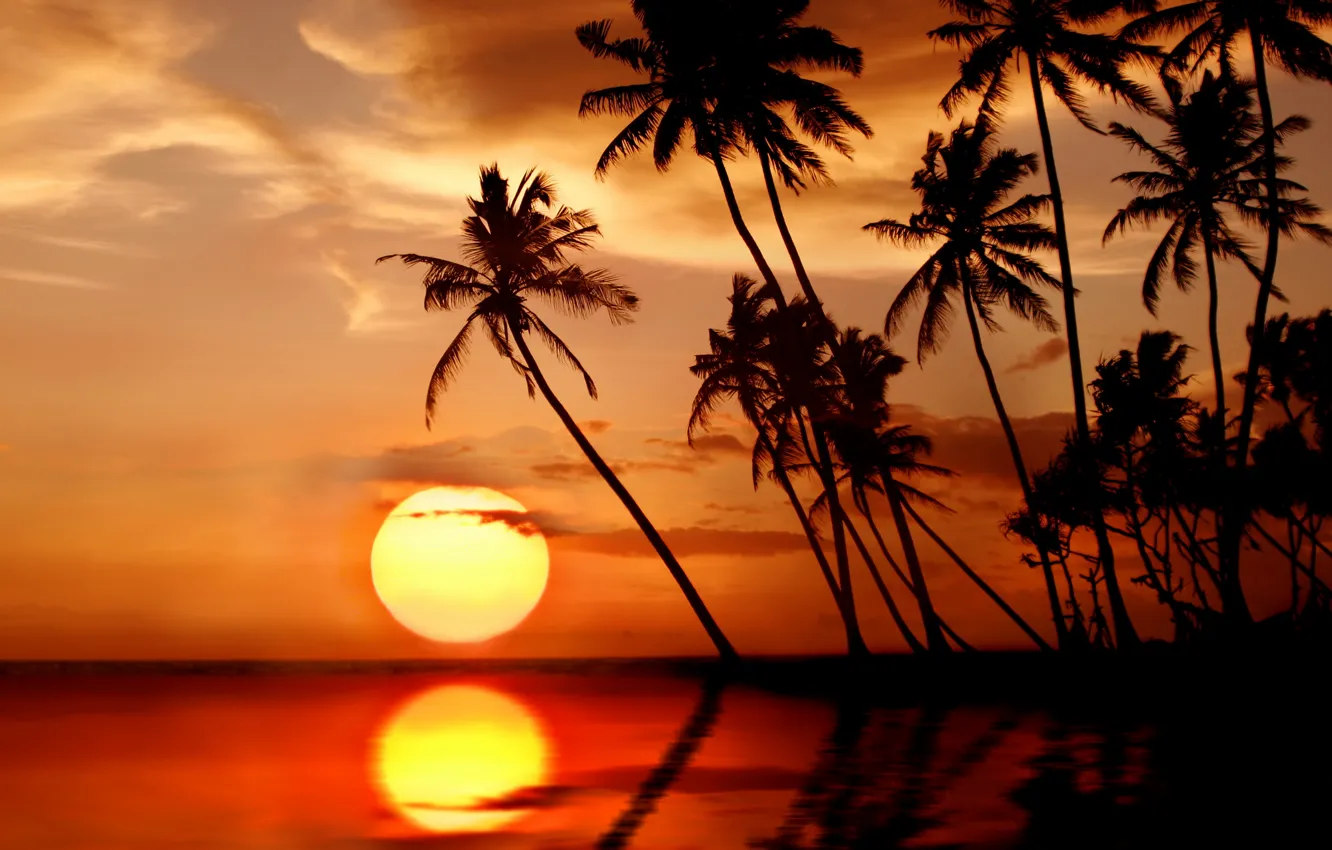 Photo wallpaper sea, beach, the sun, sunset, tropics, palm trees, beach, sea