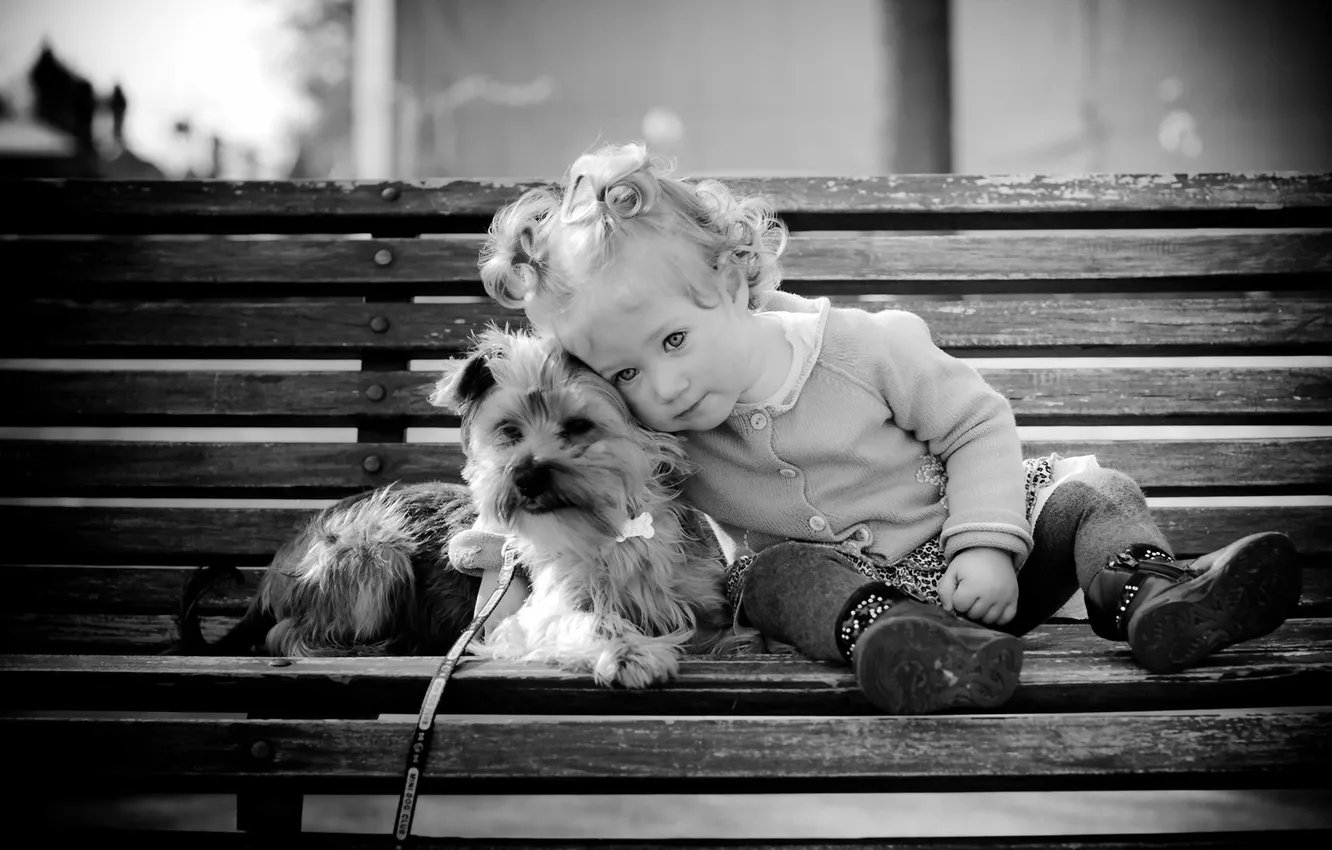 Photo wallpaper dog, girl, bench