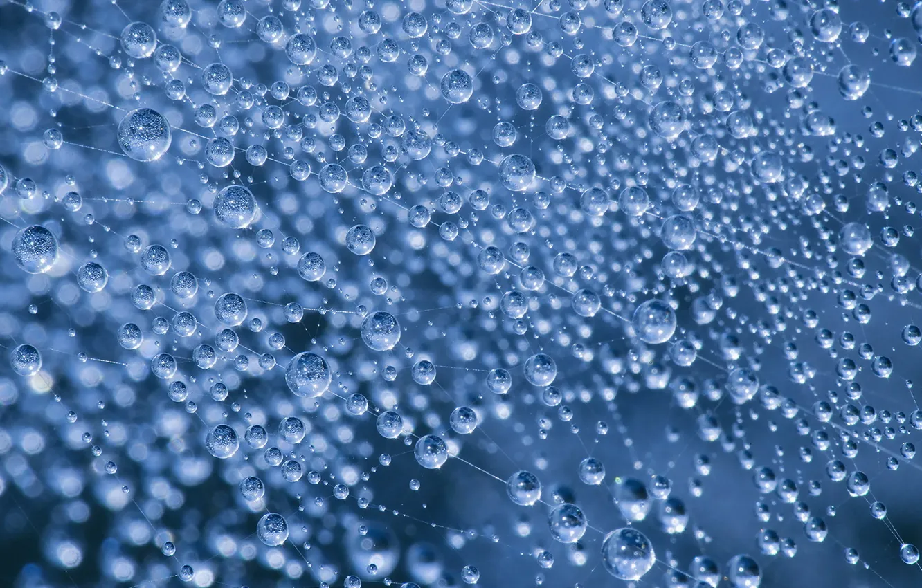 Photo wallpaper drops, macro, background