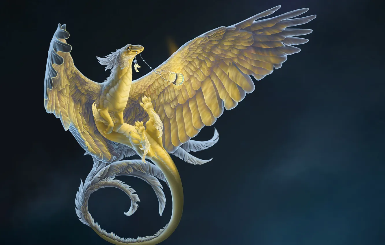 Photo wallpaper bird, night light, magic, pot, drakon