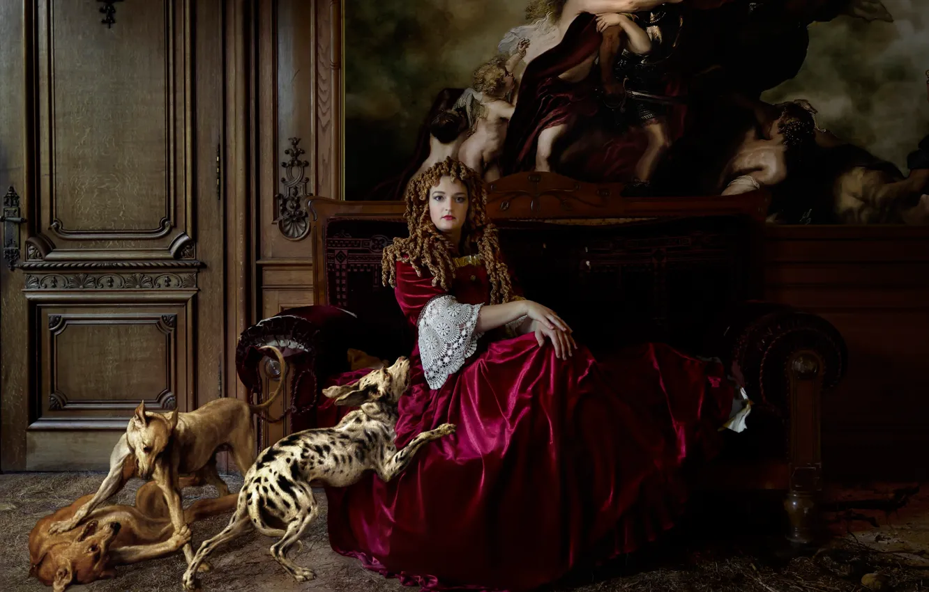 Photo wallpaper girl, dog, picture, Dog Sitting