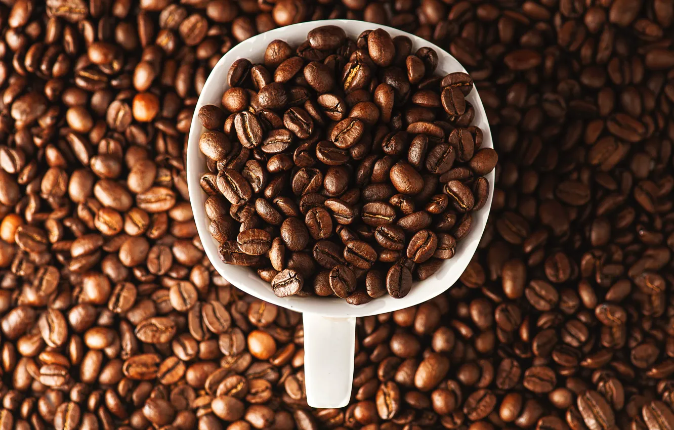 Photo wallpaper coffee, mug, placer, a lot, coffee beans, full