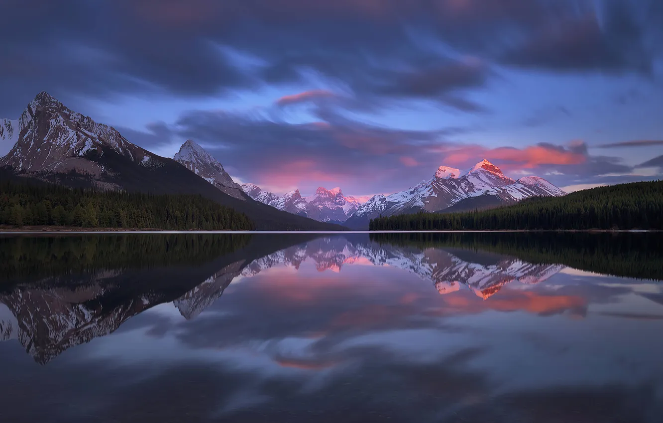Photo wallpaper forest, the sky, clouds, trees, landscape, sunset, mountains, nature