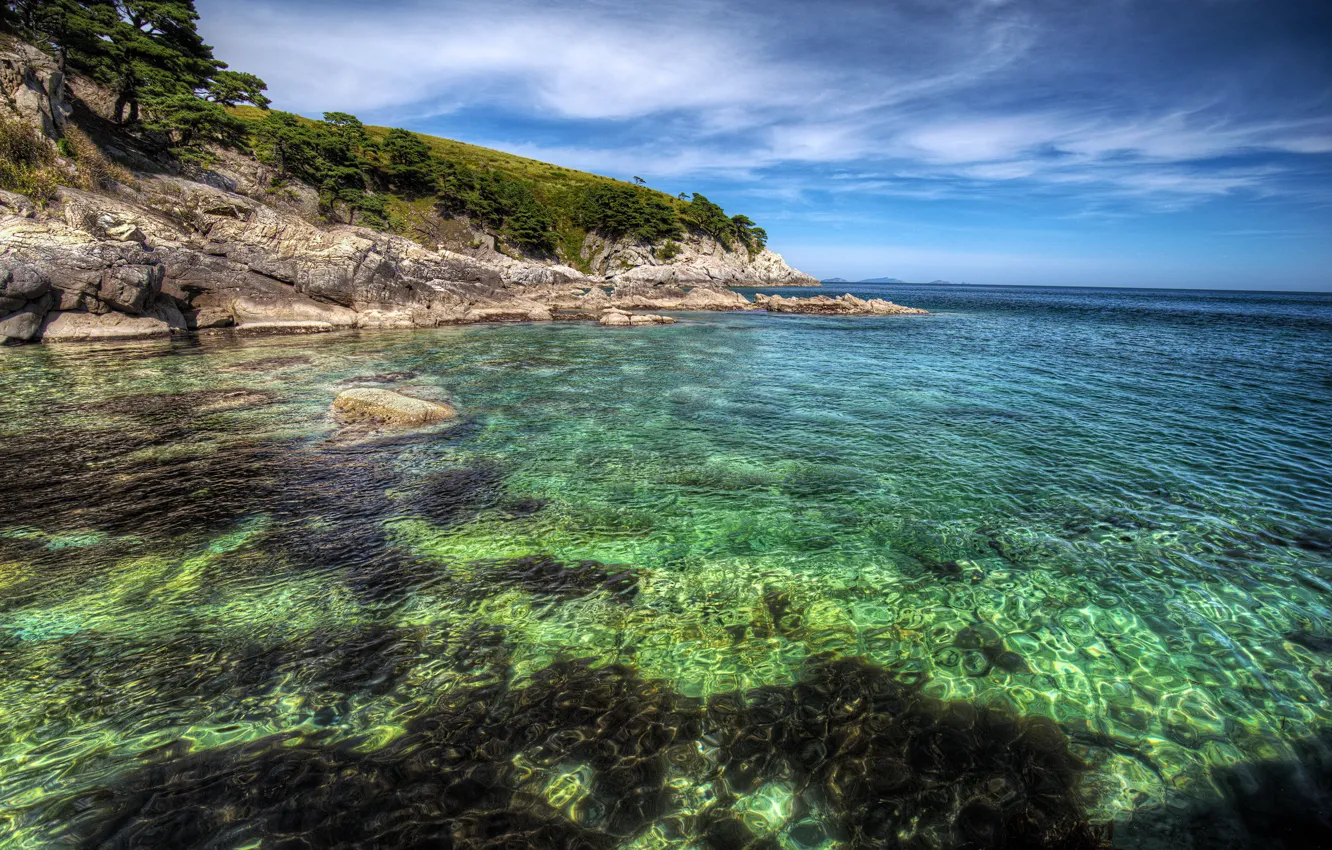 Photo wallpaper sea, the sky, the sun, trees, stones, shore, HDR, horizon
