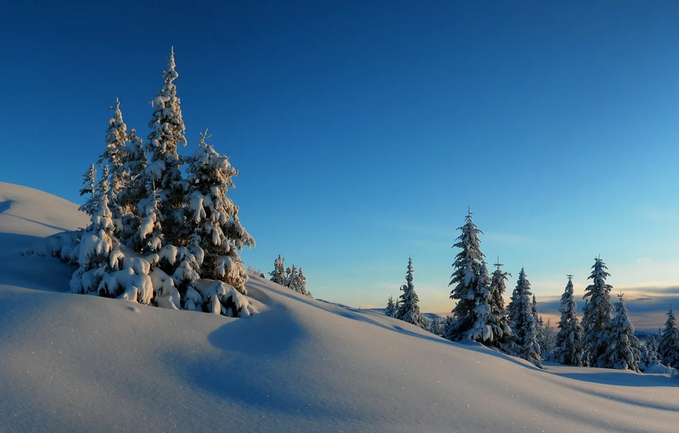 Photo wallpaper winter, the sky, snow, trees, sunset, hills, spruce, horizon