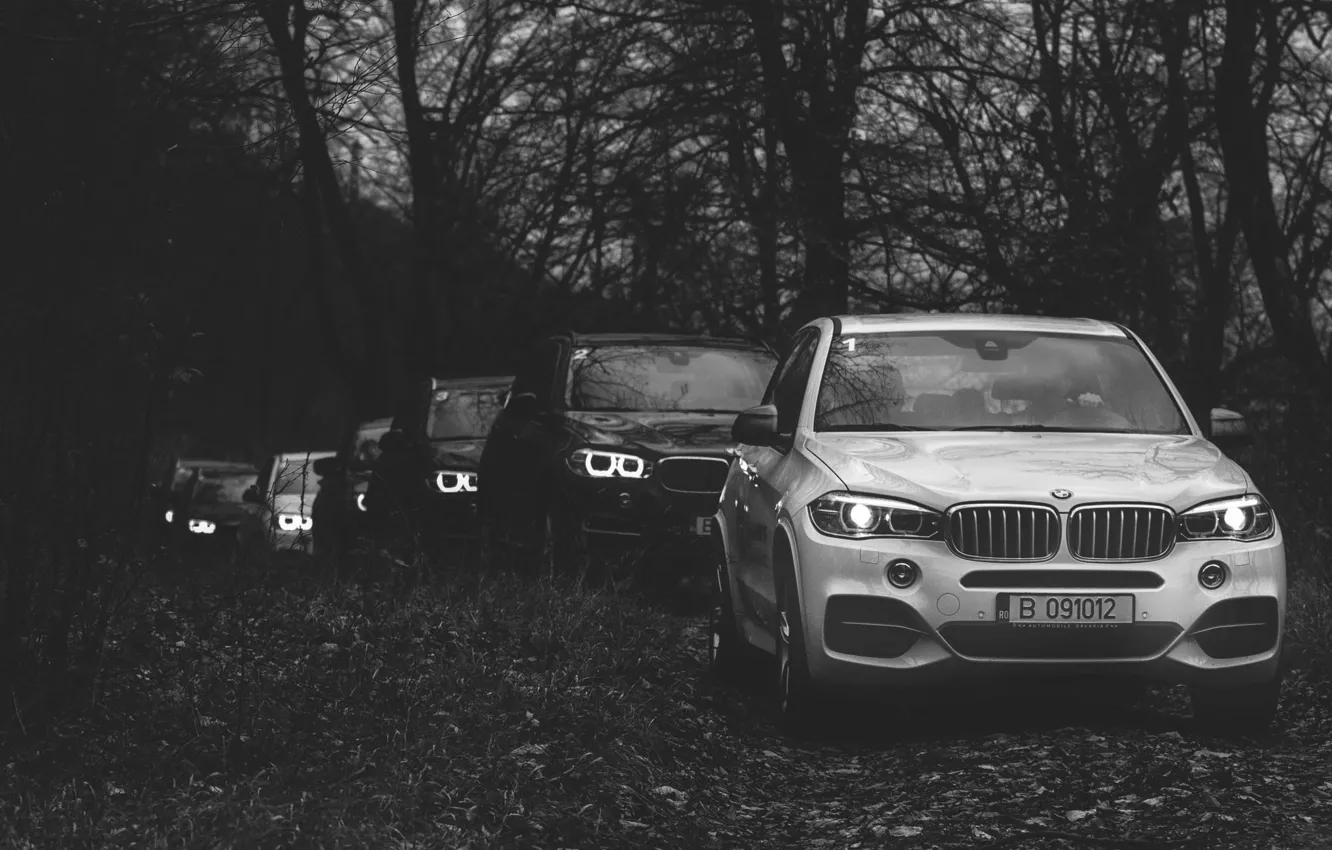 Photo wallpaper forest, BMW, BMW, New, jeeps