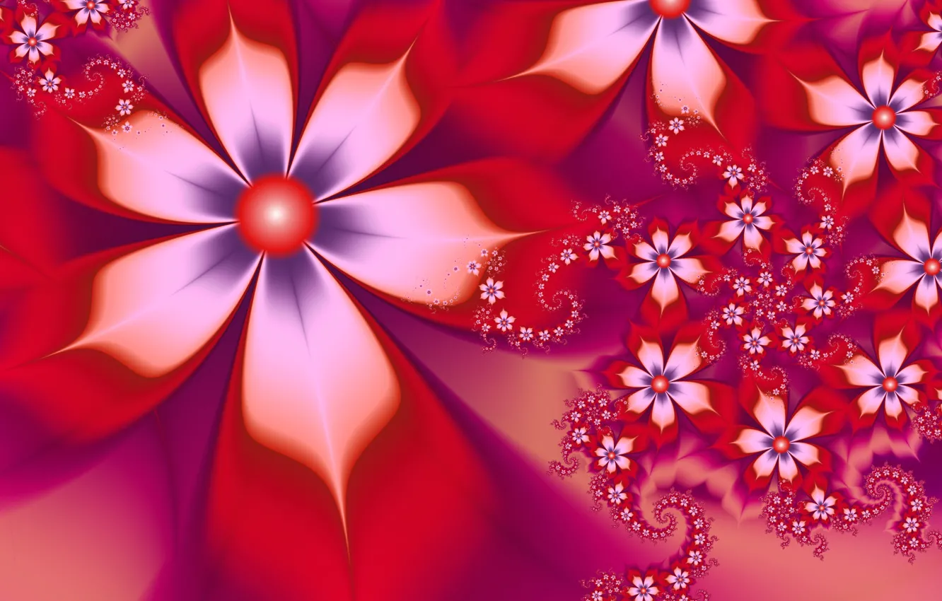 Photo wallpaper white, flowers, red, petals