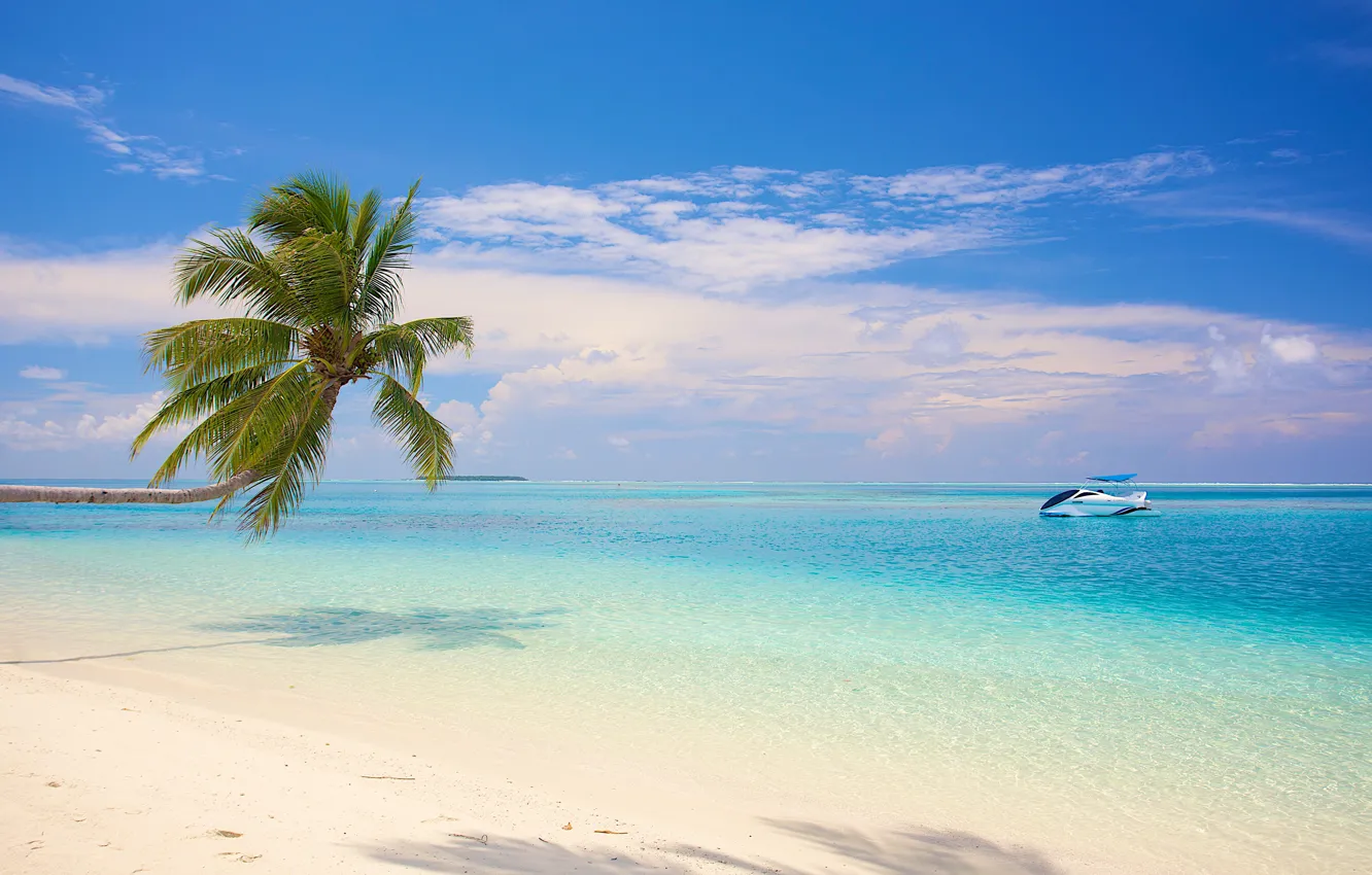 Photo wallpaper beach, palm trees, the ocean, boat, white sand, fantastic Maldives