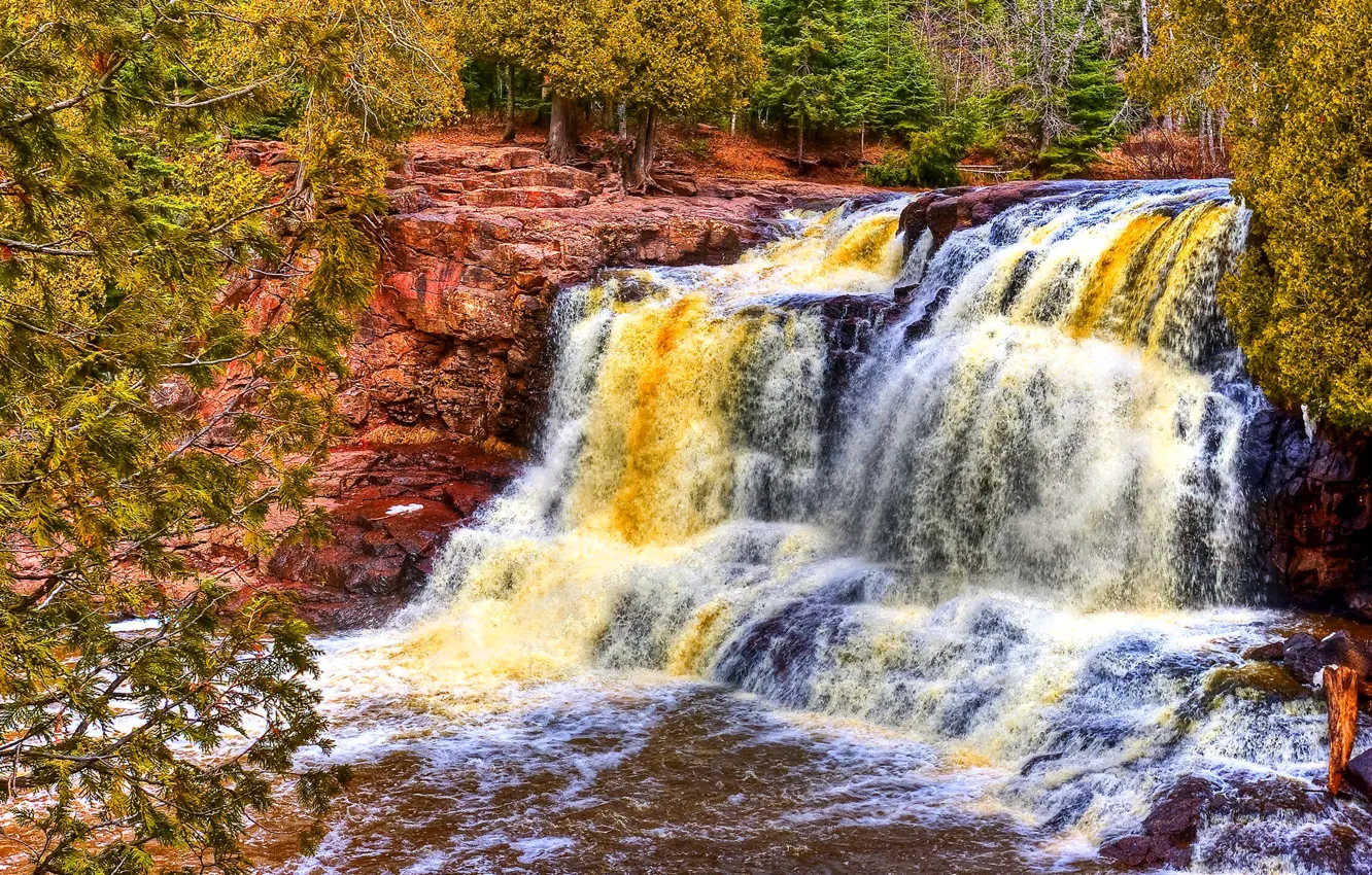 Photo wallpaper forest, trees, river, rocks, color, stream, USA, Minnesota