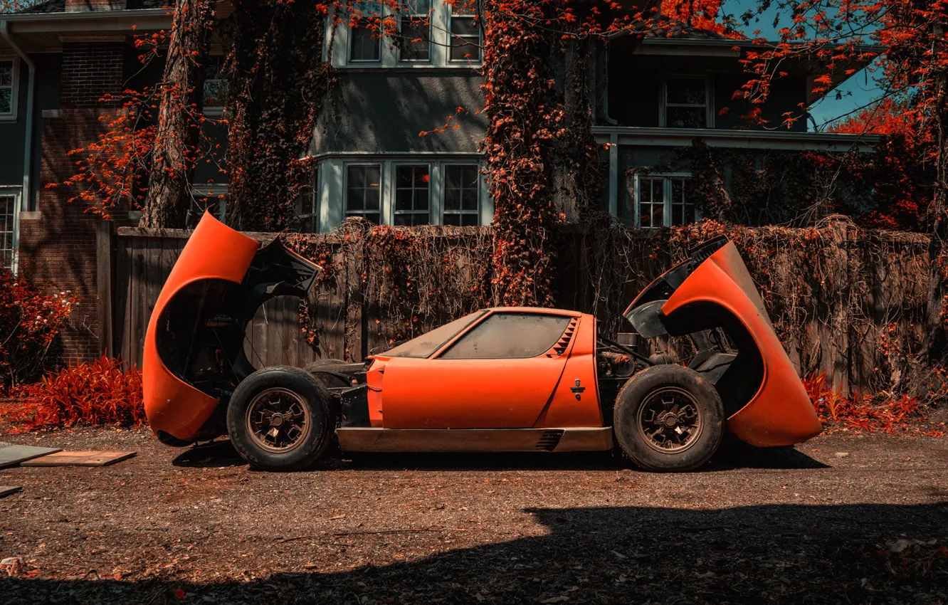 Photo wallpaper Color, Auto, Lamborghini, Dust, Machine, Orange, 1971, Car