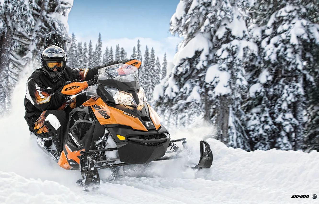 Photo wallpaper forest, snow, trees, snowmobile, snowmobile, ski-doo