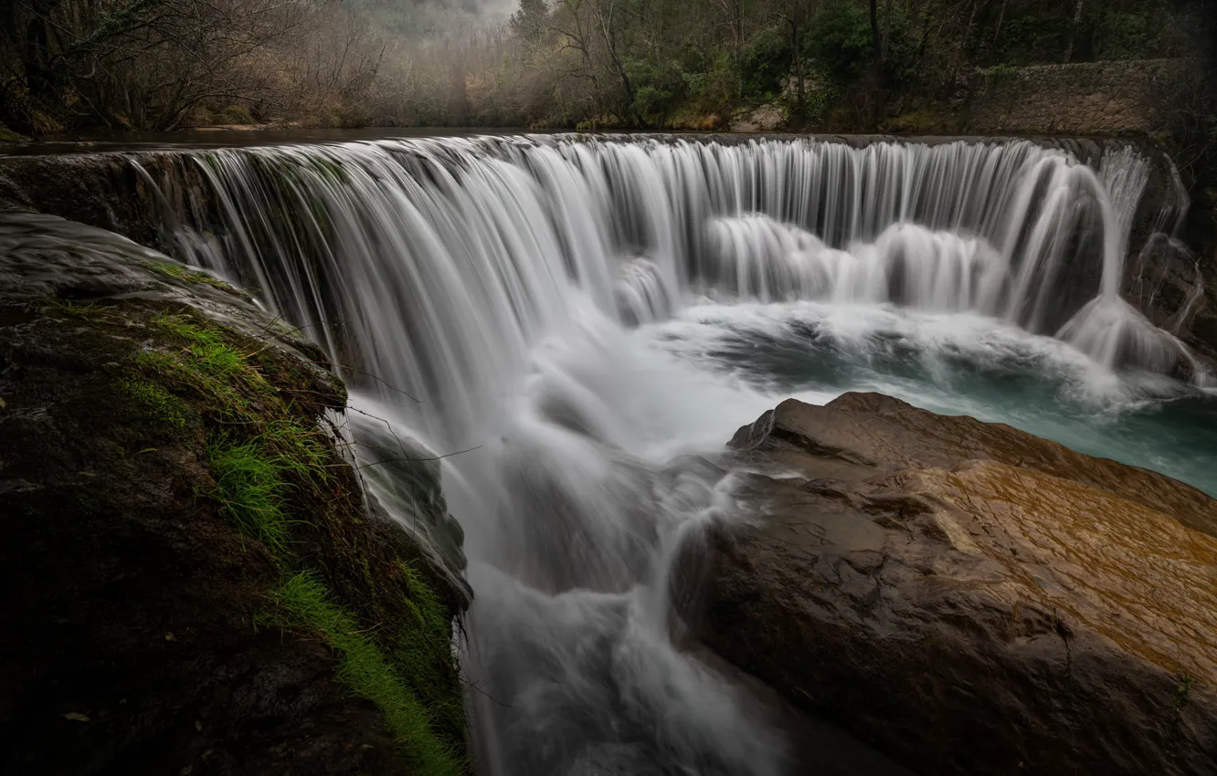 Photo wallpaper forest, grass, river, stones, rocks, shore, for, waterfall