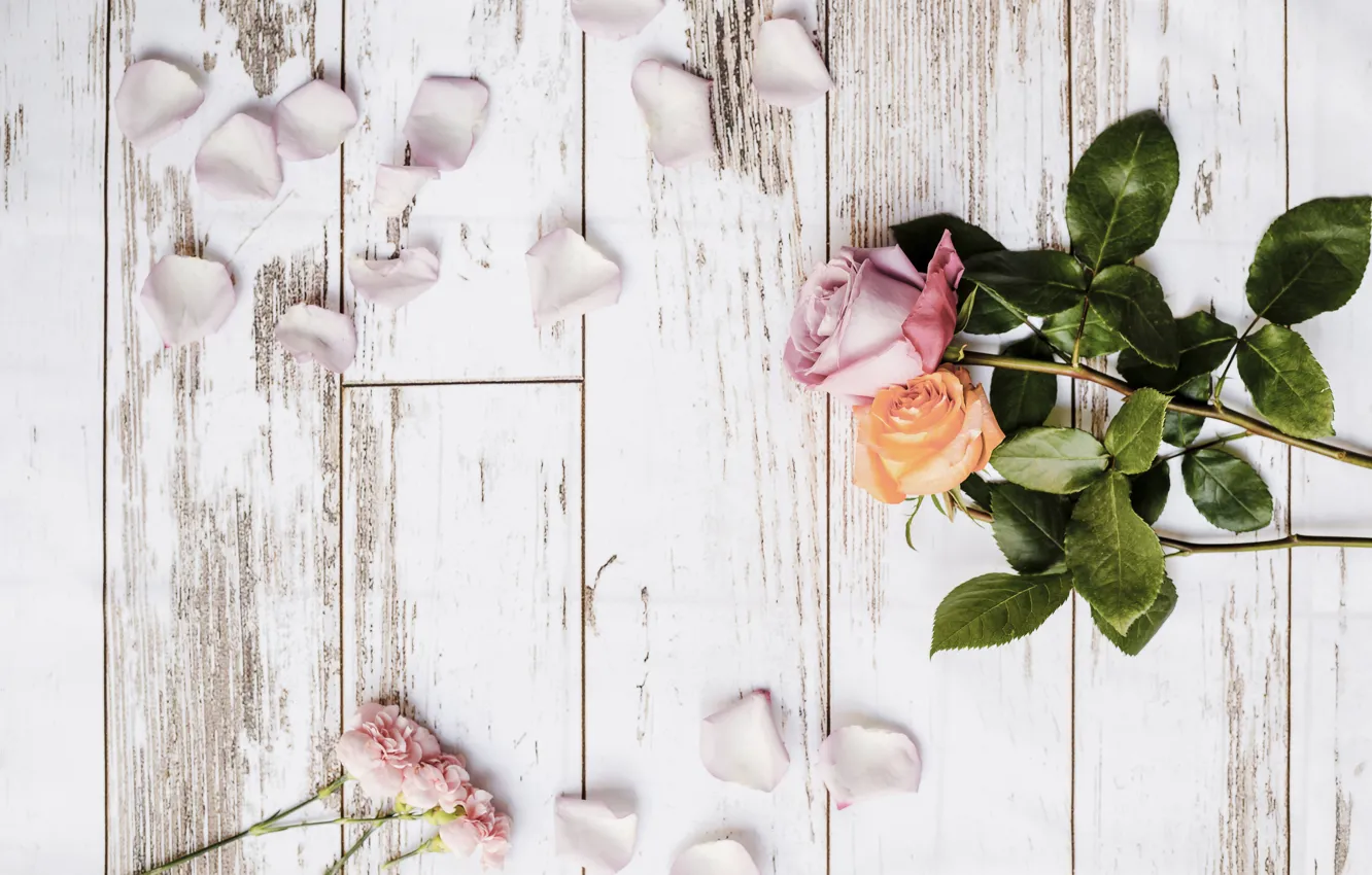 Photo wallpaper roses, petals, wood, clove