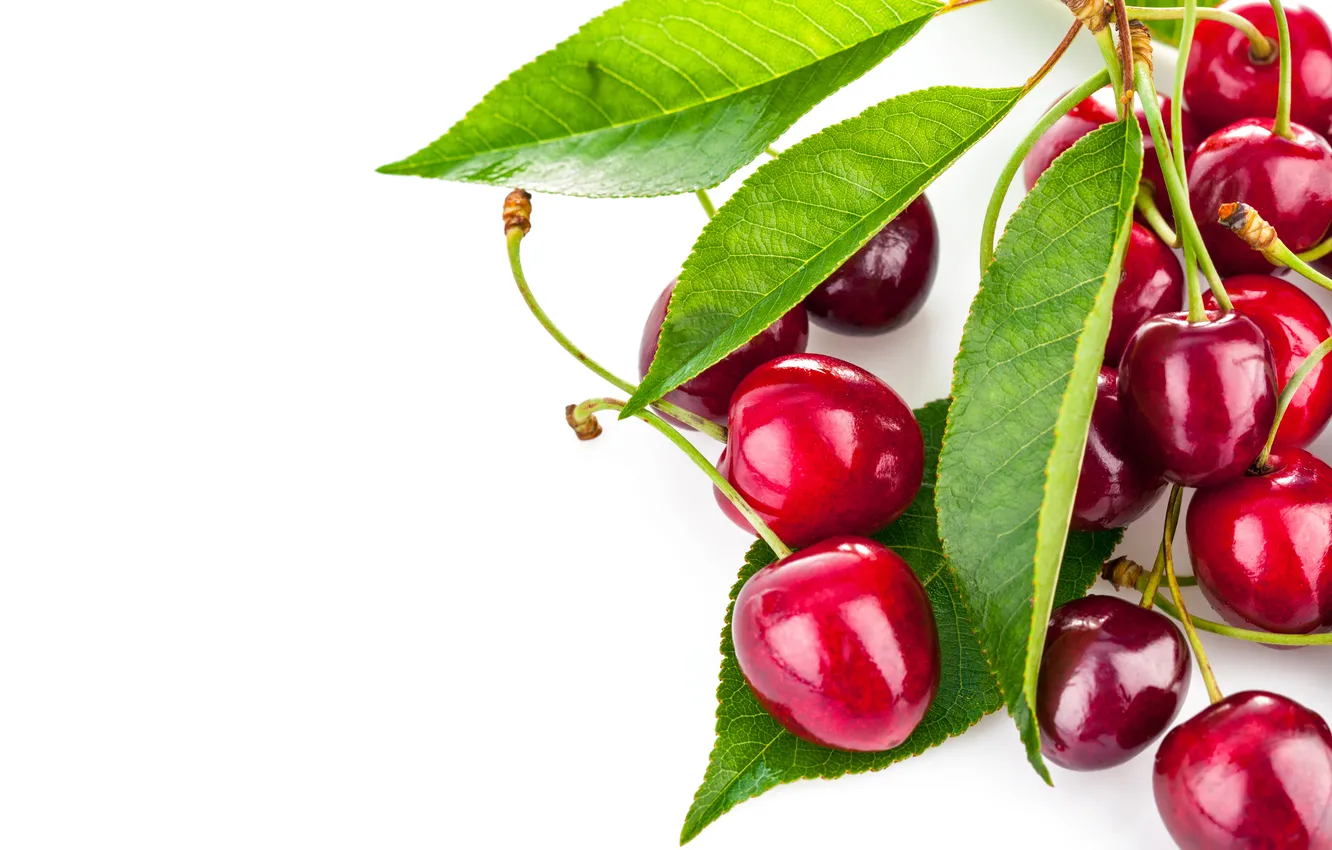 Photo wallpaper leaves, berries, cherry