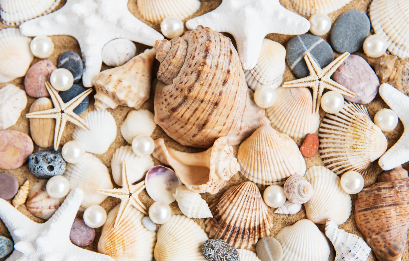 Photo wallpaper sand, beach, background, shell, beach, texture, background, sand
