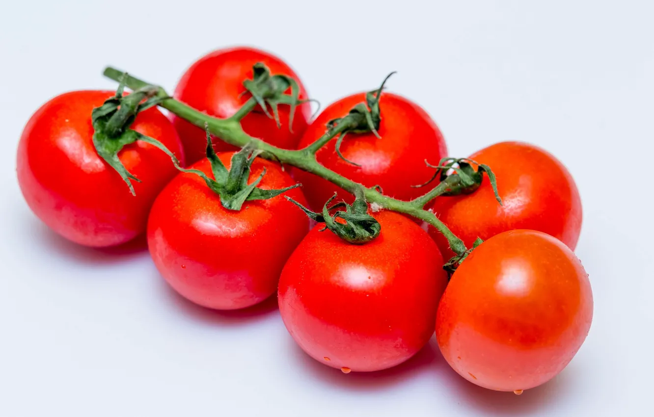 Photo wallpaper background, bunch, tomatoes