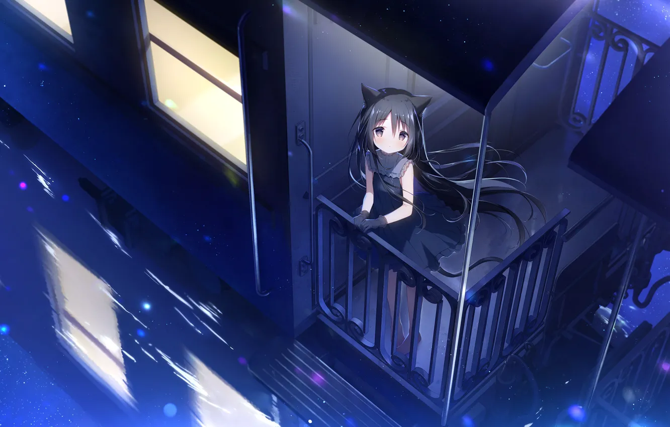 Photo wallpaper cat, girl, night, train, black, Hoshizora Tetsudou to Shiro no Tabi