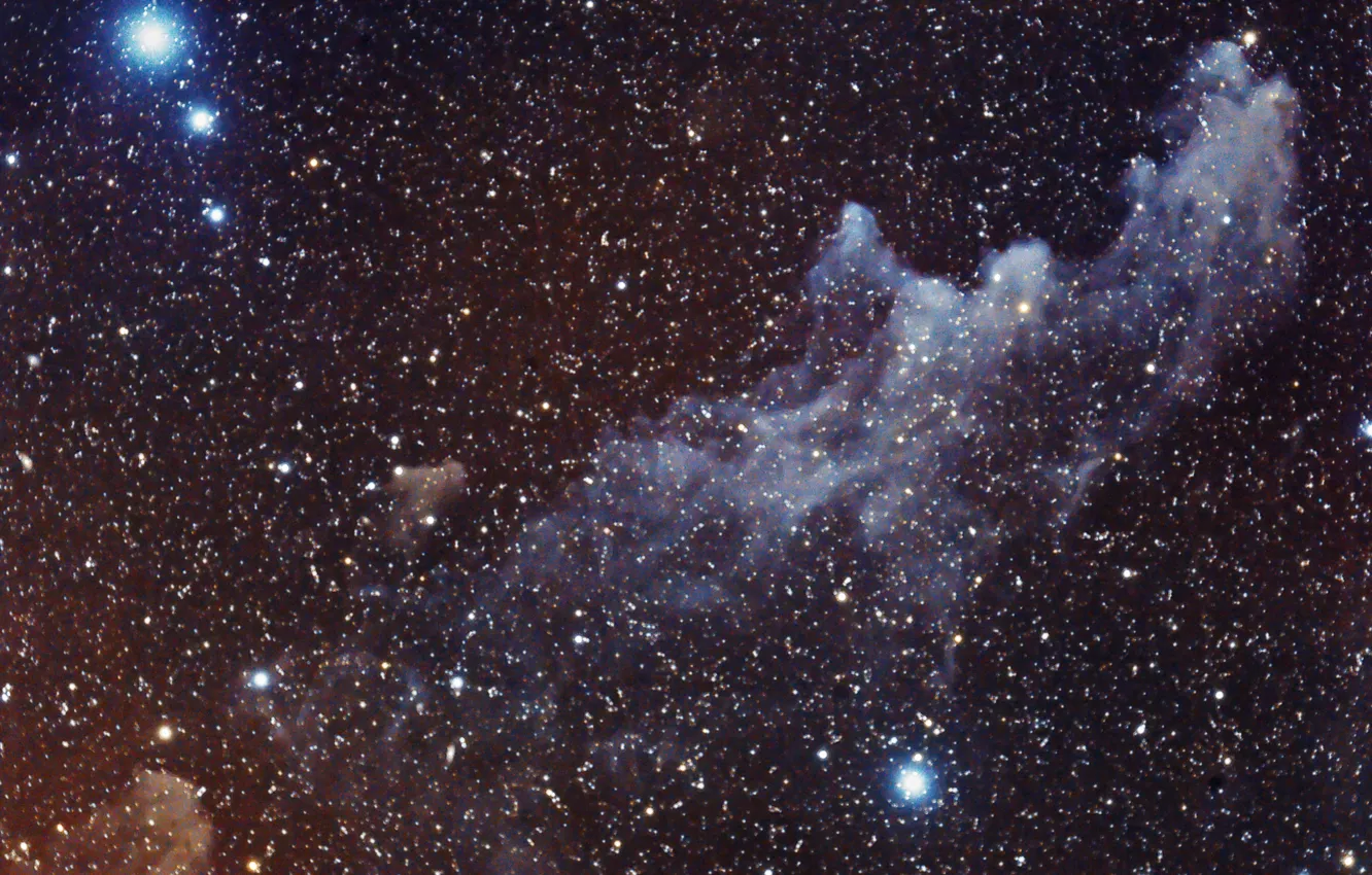 Photo wallpaper nebula, The Witch Head, in the constellation, reflective, Eridan, IC2118