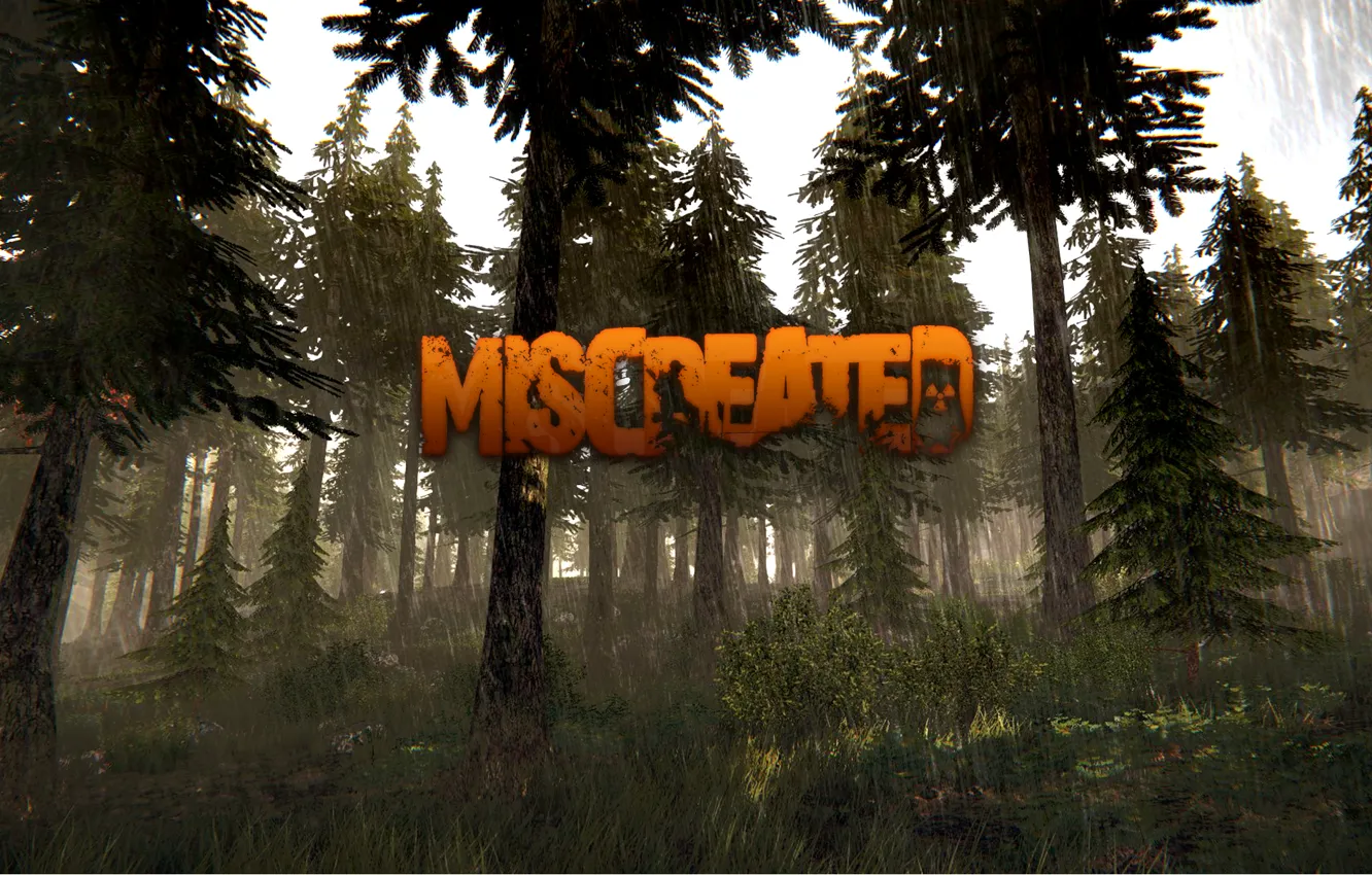 Photo wallpaper forest, trees, nature, rain, the game, Miscreated