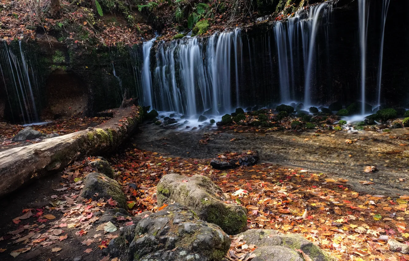 Photo wallpaper autumn, leaves, trees, waterfall, colorful, forest, nature, autumn