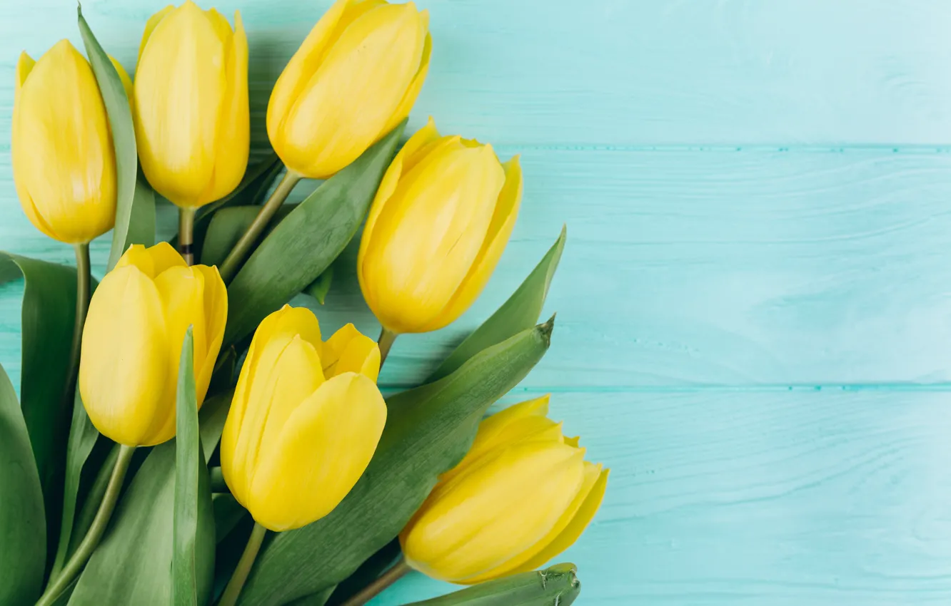 Photo wallpaper flowers, background, spring, tulips, flowers, background, tulips, spring
