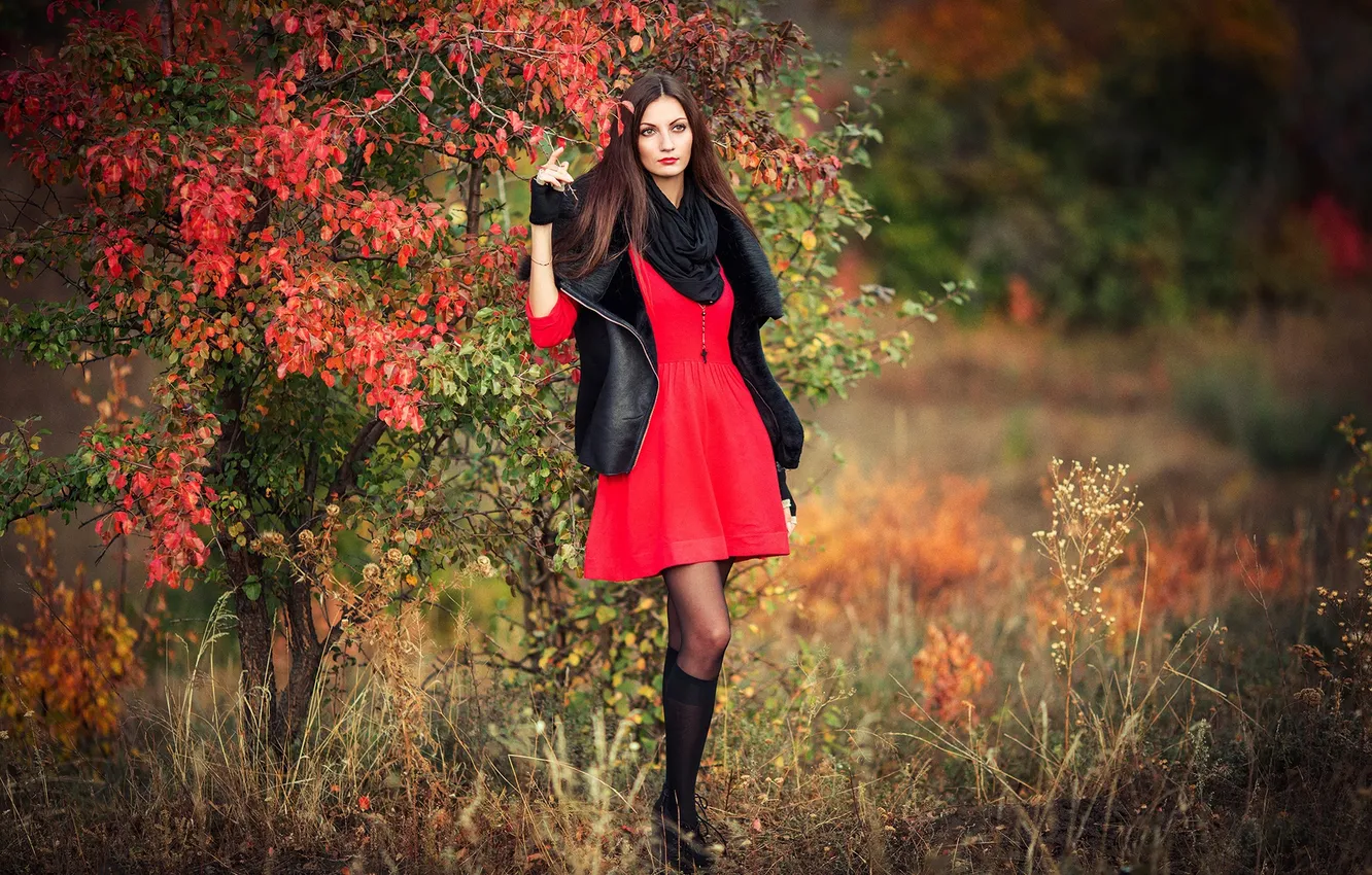 Photo wallpaper autumn, in red, nature
