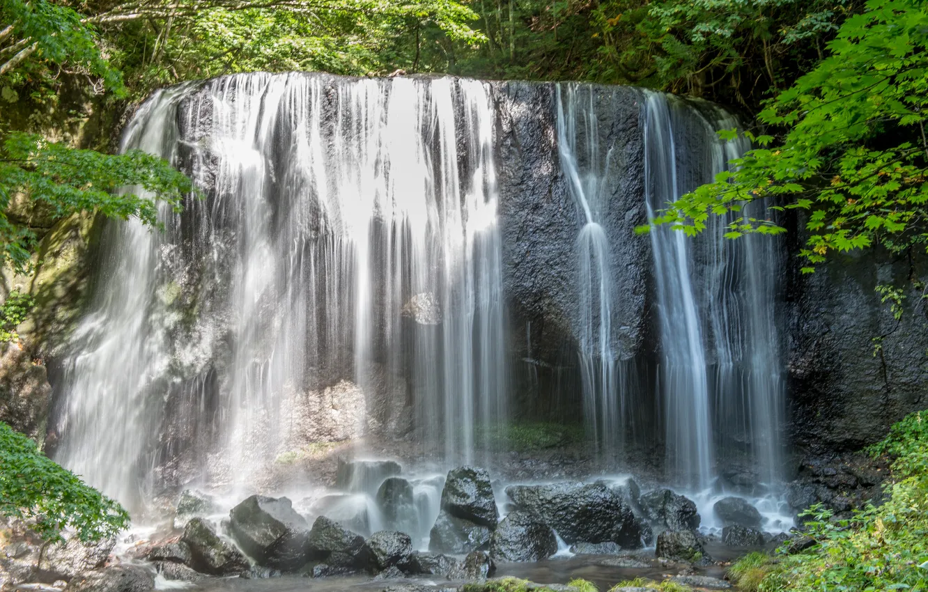 Photo wallpaper water, nature, stream, Waterfall