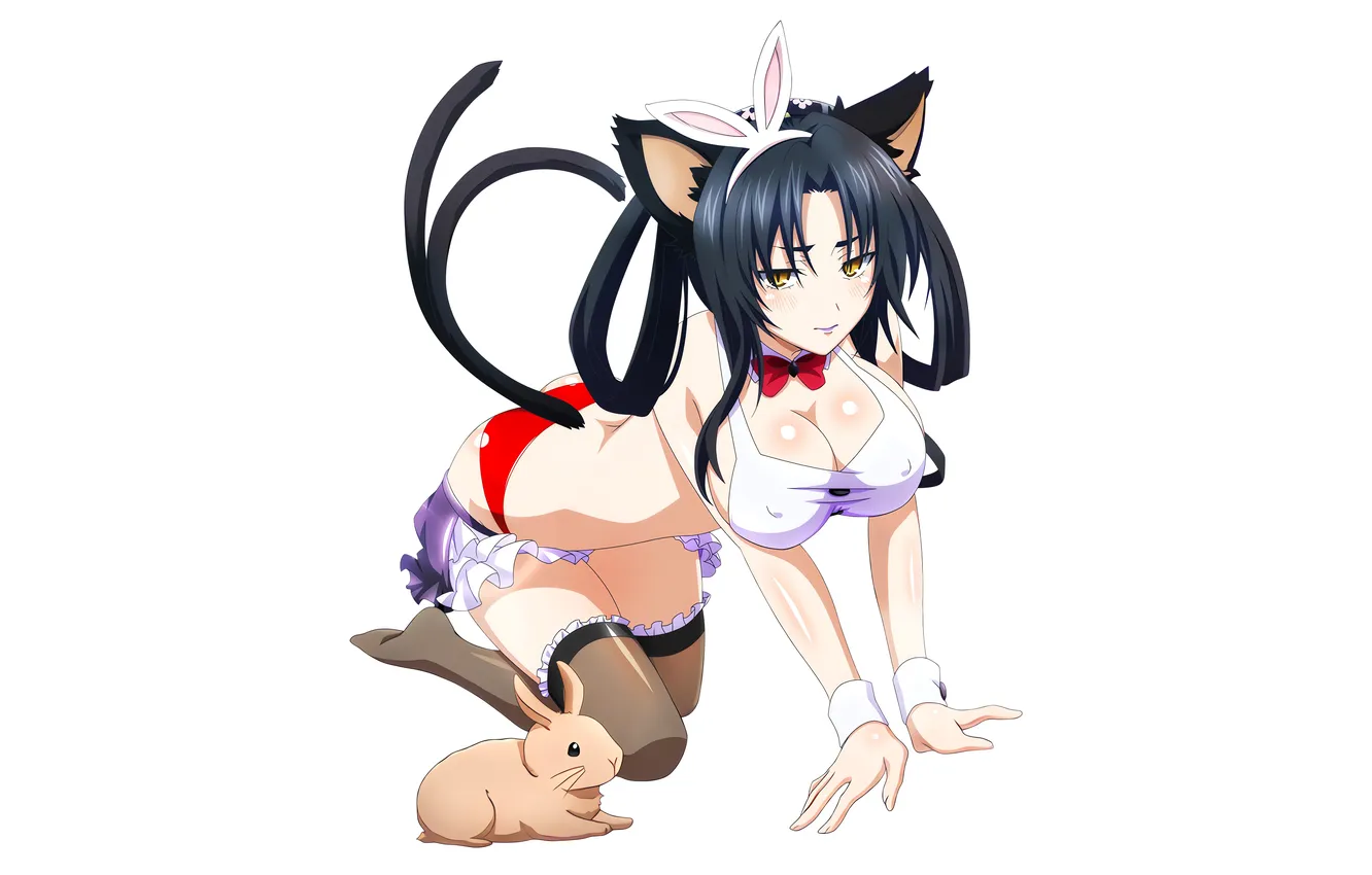 Photo wallpaper girl, sexy, lingerie, ass, cleavage, panties, thighhighs, long hair