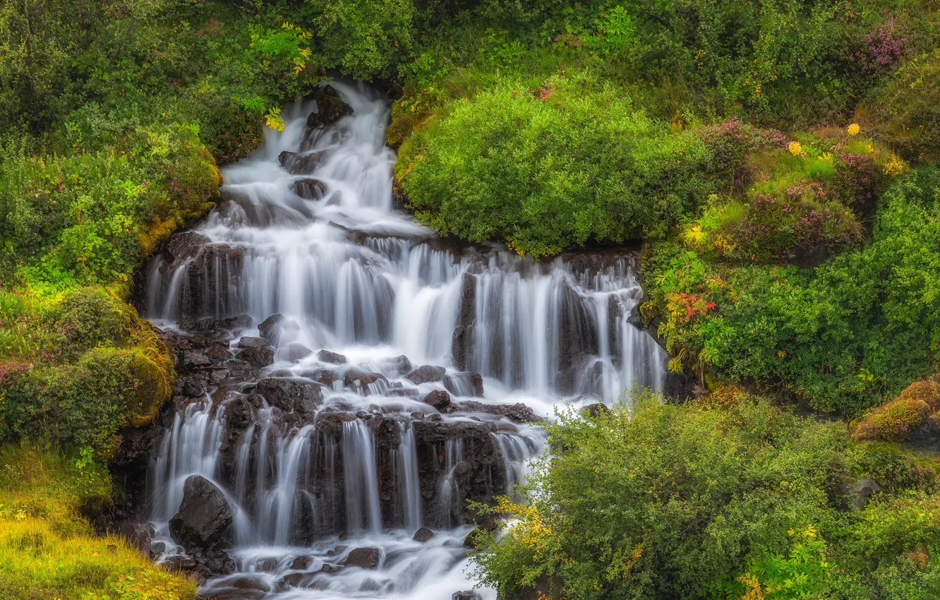 Photo wallpaper waterfall, cascade, Iceland, the bushes, Iceland, Hraunfossar, Hraunfossar